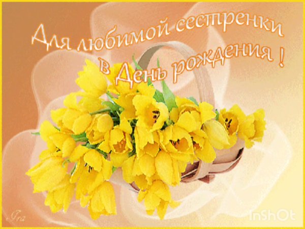 Тюльпан Стронг Голд