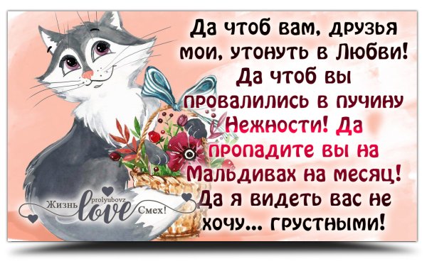 Прикольные статусы про жизнь