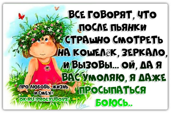 Смешные статусы про жизнь