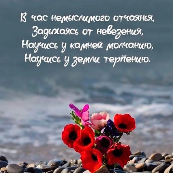 Красивые цитаты