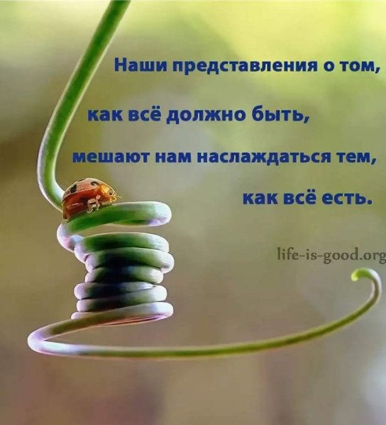 Позитивные цитаты