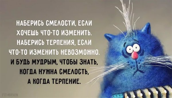 Позитивные высказывания
