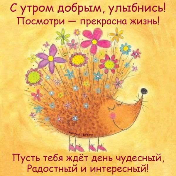Позитивные открыточки