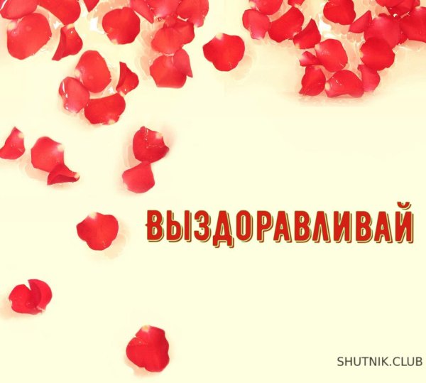 Не болей выздоравливай