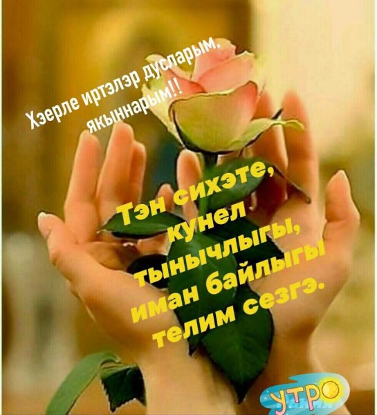 Хэйерле кон