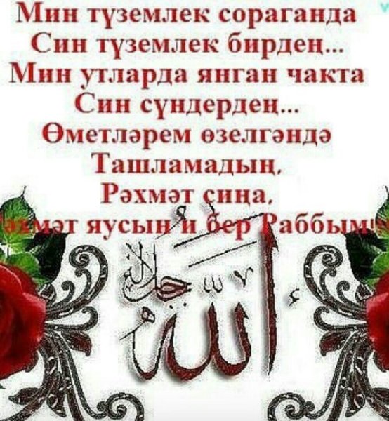 Мусульманка телэклэр