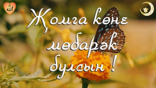 Курбан байран поздравление