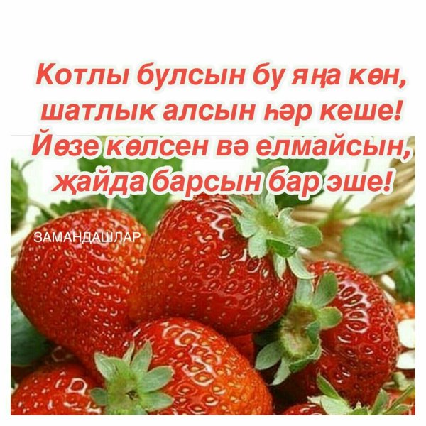 Доброе утро на татарском языке смс