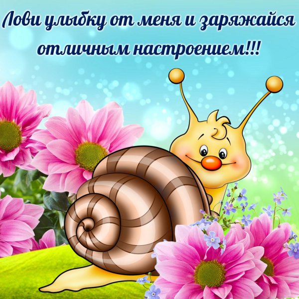 Доброе утро улитка
