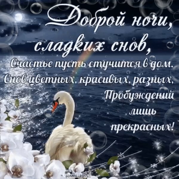 Спокойной ночи лебеди