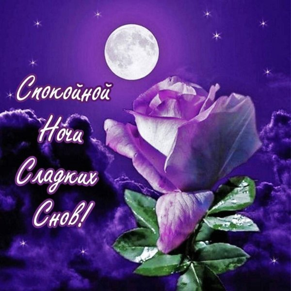 Доброй ночи до завтра