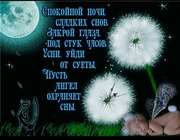 Доброй ночи сладких снов