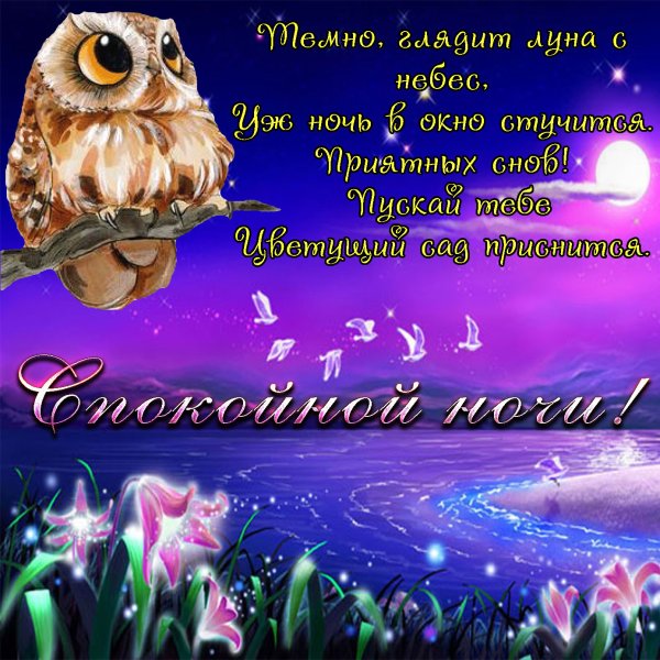 Доброго вечера и спокойной ночи