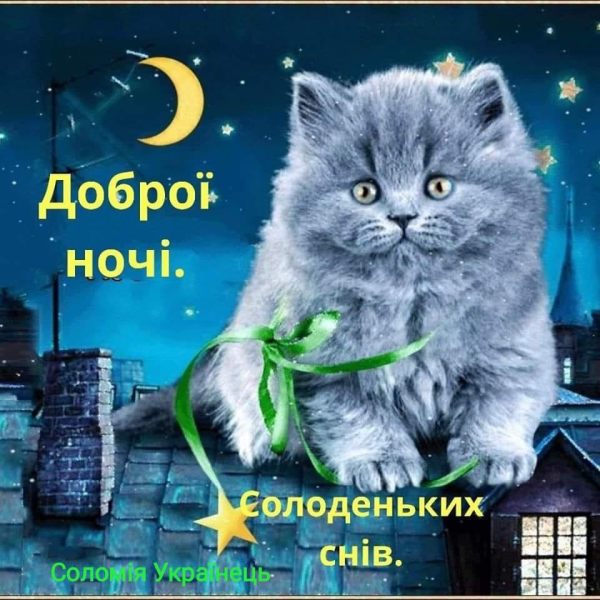 Спокойной ночи