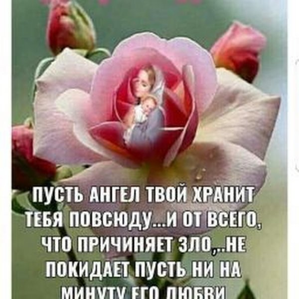 Пусть ангел хранит вас