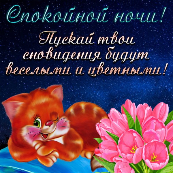 Пожелания спокойной ночи