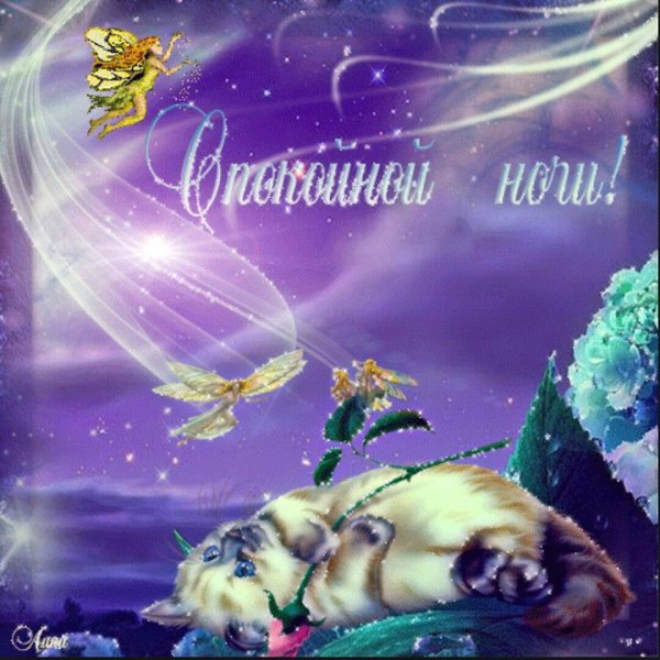 Открытки доброй ночи