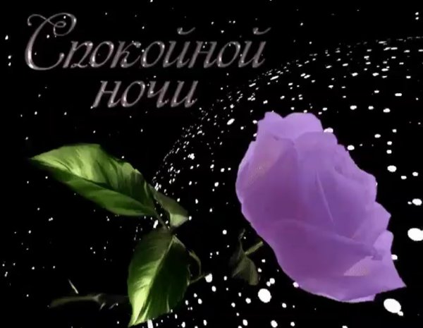 Спокойной ночи добрых и нежных снов