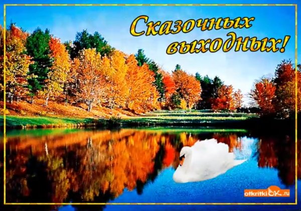Отличных осенних выходных