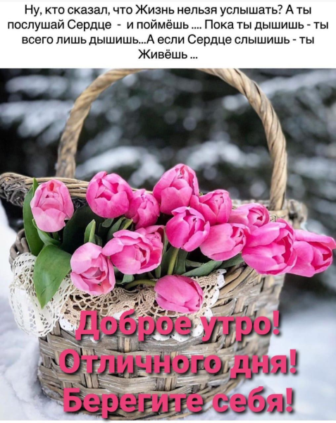 Корзина роз