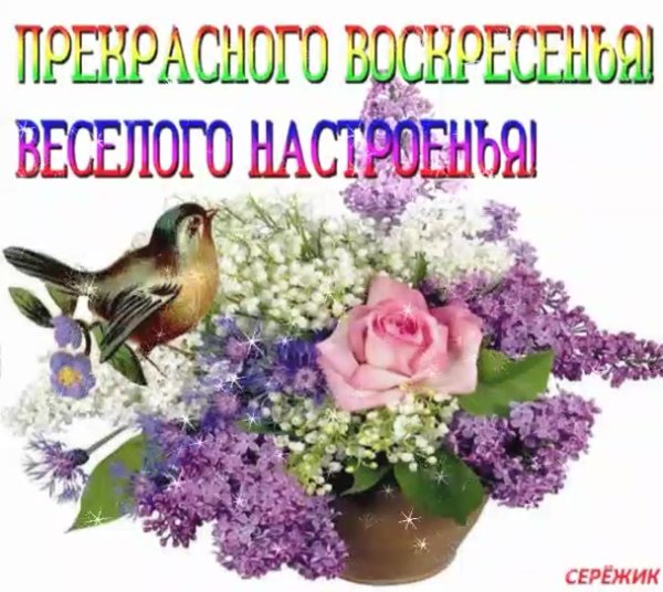 С добрым воскресным утром