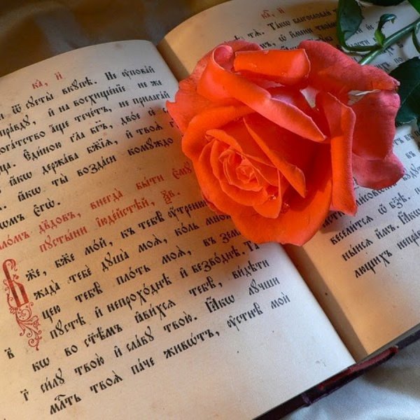 Доброго воскресного дня