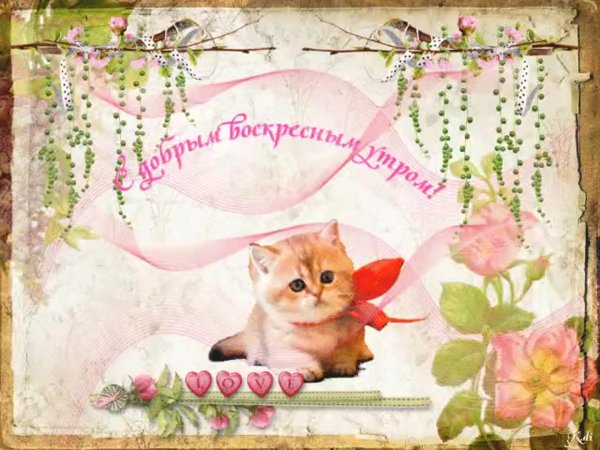 С добрым воскресным утром