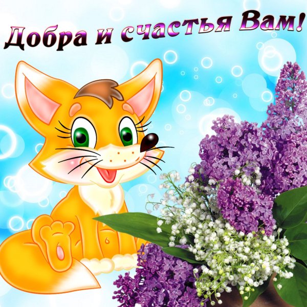 Пожелания добра