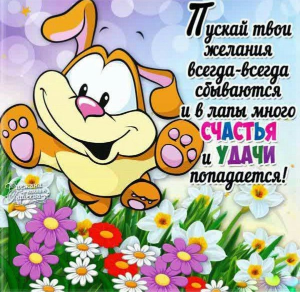 Картинки с веселыми пожеланиями