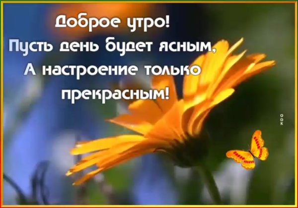 Доброго ясного утра Мудрые высказывания