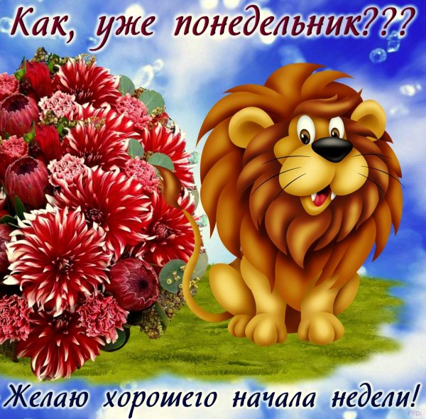 Открытки с понедельником