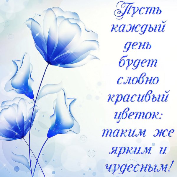 Открытки с пожеланиями