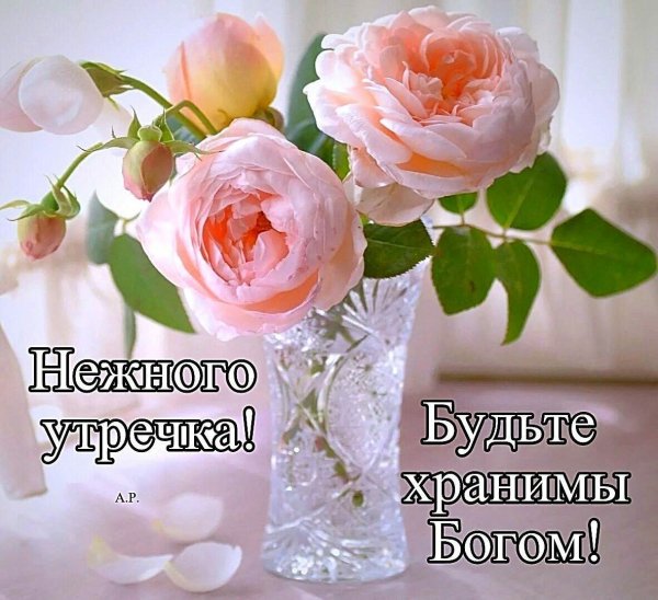 Доброе утро благословенного дня