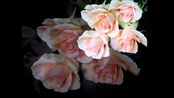 Пусть женскому счастью не будет предела пусть будет мечта и любимое