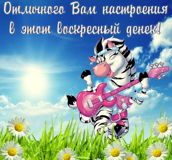 С добрым воскресным утром