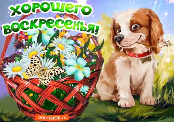 С добрым воскресным утром