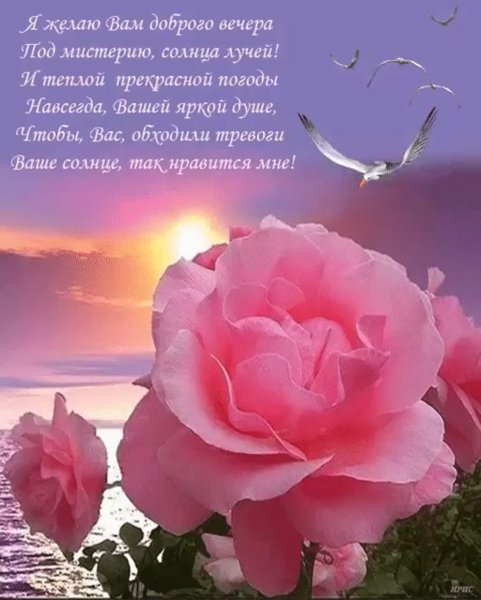 Красивые пожелания доброго вечера