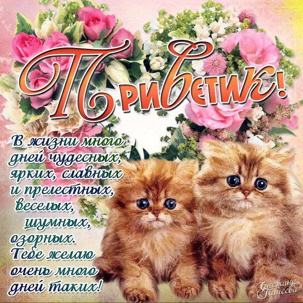 Поздравления на каждый день