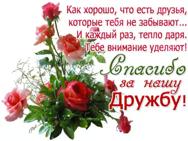 Спасибо друзья