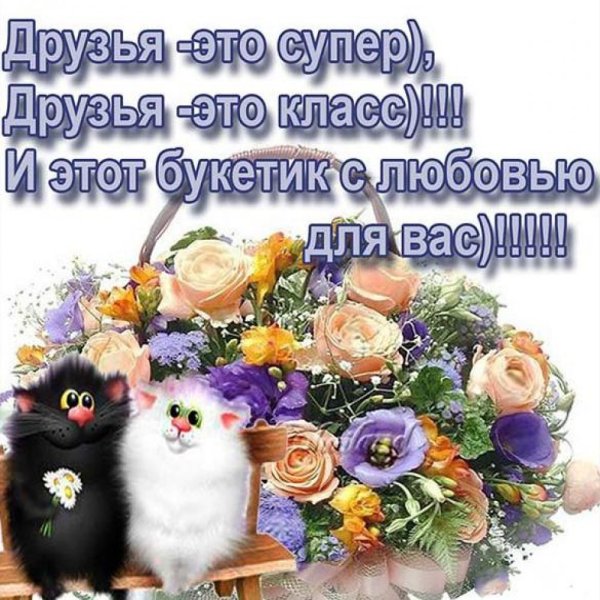 Пожелание хорошего дня друзьям