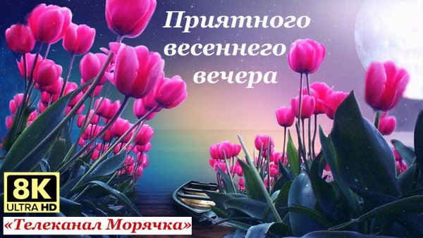 Доброй весенней ночи