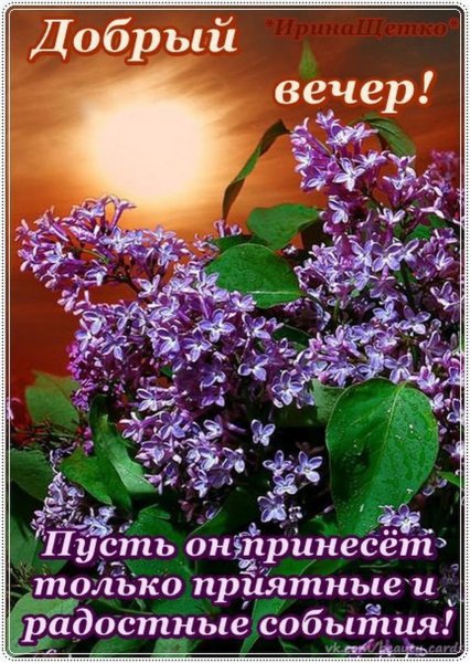 Сирень вечером