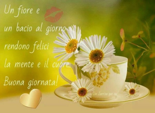 Пожелания доброго утра с ромашками