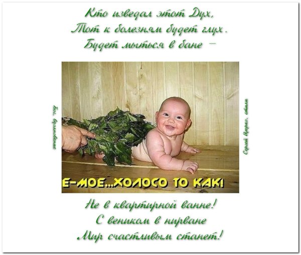 Банный веник логотип