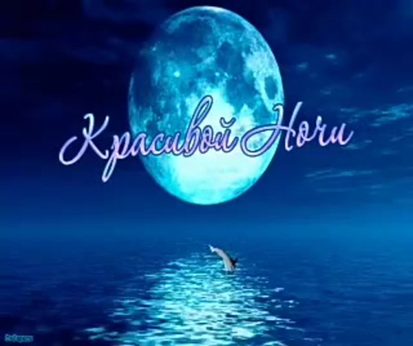 Прекрасная ночь