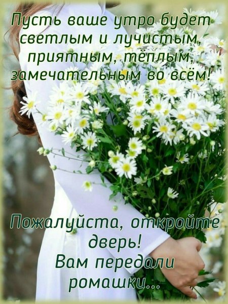 Позитивные пожелания на каждый день