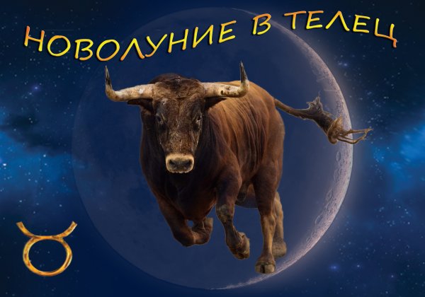 Год тельца