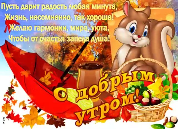 Пожелания осеннего утра с юмором