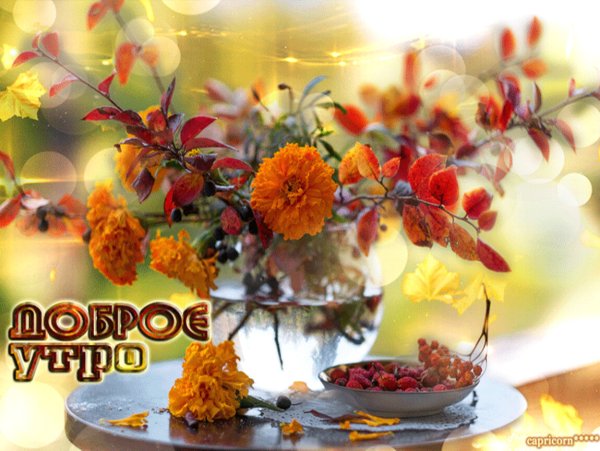 Доброе утро осень