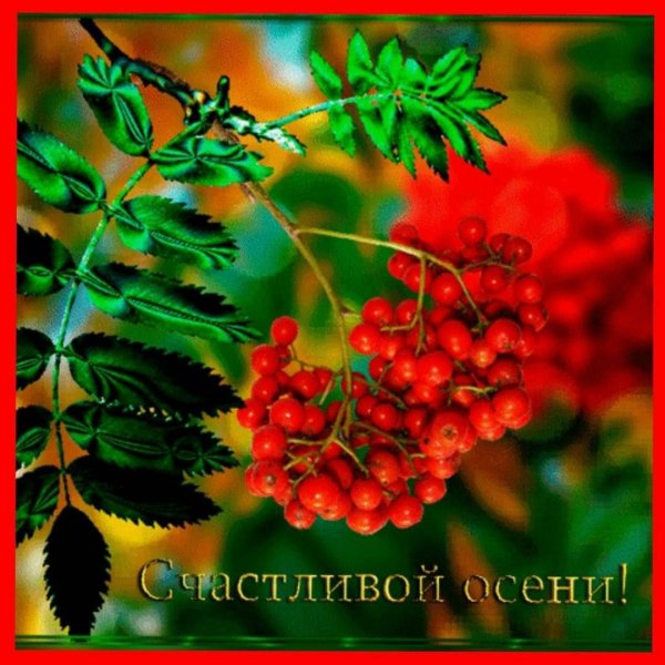 С добрым осенним утром сентября